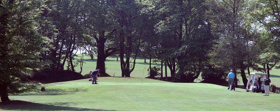 Wexford Golf