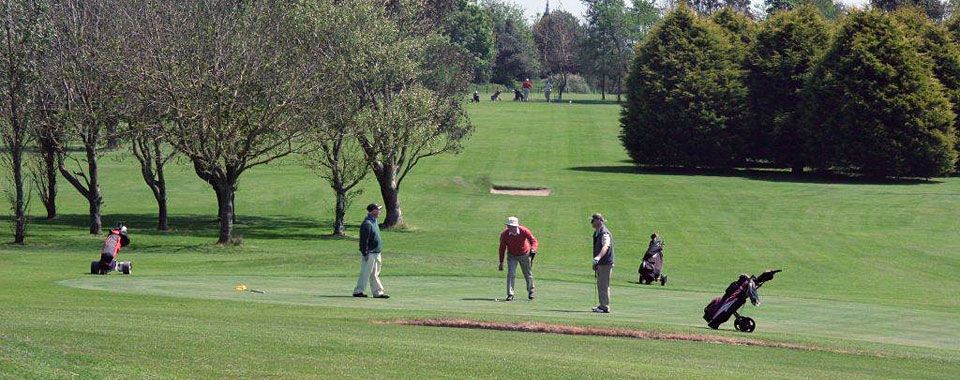 Golfing in Wexford