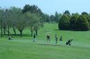 Golf Fairways Green1