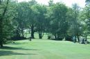 Golf Greens Trees3