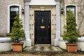 Front Door With Plants And Windows1